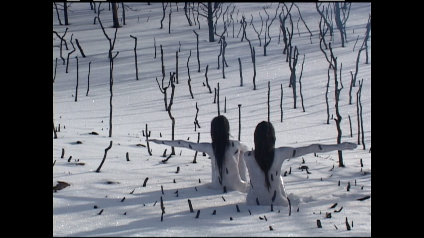 Duas pessoas estão de costas com cabelos compridos e seus corpos pintados de branco com riscos pretos, cada uma com um braço estendido para um lado. Seus corpos se confundem com a paisagem, que é coberto de neve branca com árvores pretas como linhas.